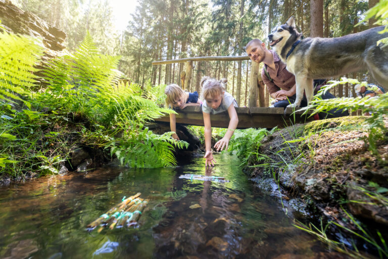 Urlaub im Erzgebirge